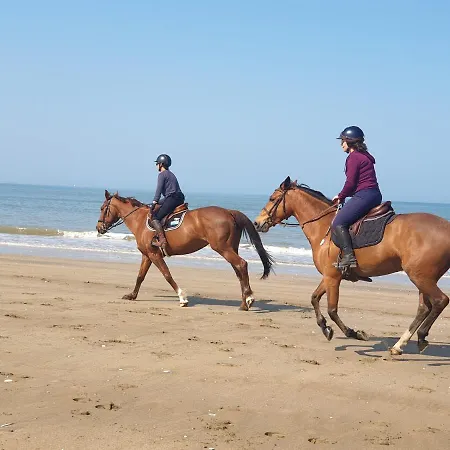 M2m Confortable Avec Parking Prive Gratuit - 4 Min A Pied De La - Hypercentre Blonville-sur-Mer