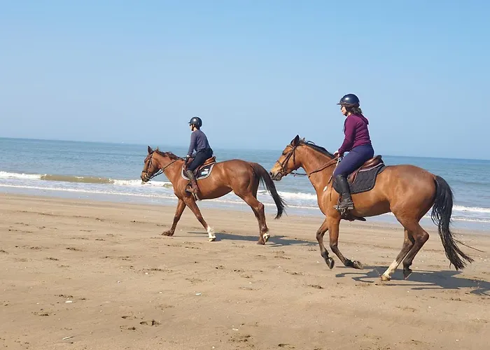 M2m Confortable Avec Parking Prive Gratuit - 4 Min A Pied De La - Hypercentre Blonville-sur-Mer